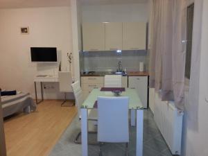Телевизор и/или развлекательный центр в New Studio Apartments Trlaja