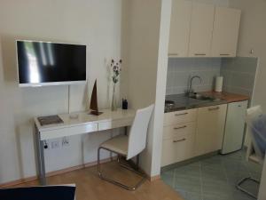 Кухня или мини-кухня в New Studio Apartments Trlaja

