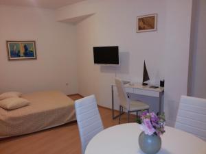 Televízia a/alebo spoločenská miestnosť v ubytovaní New Studio Apartments Trlaja