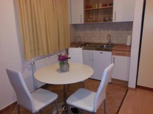 Кухня или мини-кухня в New Studio Apartments Trlaja
