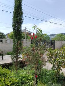 Giardino di Natia Guest House
