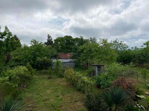 Giardino di Natia Guest House