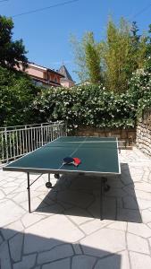 a green ping pong table with a hat on it at Apartment Laurus in Portorož