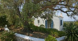 Una casa blanca con un árbol delante. en Agios Nikitas Villas en Áyios Nikítas