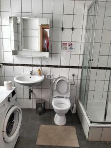 uma casa de banho com um WC, um lavatório e um chuveiro em Ferienhaus für Monteure in Bitterfeld-Wolfen em Steinfurth