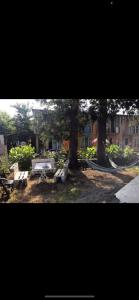 a park with two picnic tables and two trees at Ureki გურიის ქუჩა 47ბ in Ureki