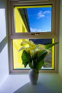 Foto dalla galleria di Carrig Island Lodge a Ballylongford