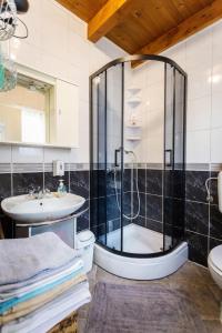 ein Bad mit einer Dusche und einem Waschbecken in der Unterkunft Kuća za odmor Zeleni breg in Krapina
