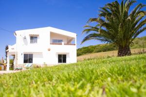 uma casa branca com uma palmeira num campo em Casa Boavista em São Martinho do Porto