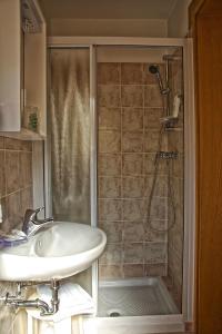 ein Bad mit einer Dusche und einem Waschbecken in der Unterkunft Albergo Ristorante Iris in Auronzo di Cadore