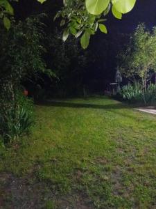 een tuin met een groen gazon met een boom bij Shtrkovi - Storks in Petrovec