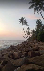 una playa rocosa con palmeras y el océano en Gods own home stay, en Kochi