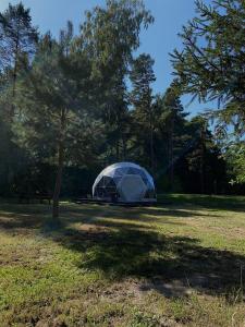 een tent in een veld naast een boom bij Spranču Glempings in Bernāti