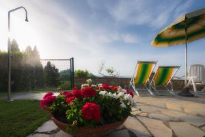 een pot met bloemen op een terras met stoelen en een parasol bij Monti 1824 - Apartments & Cottages in Casole dʼElsa