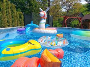 a swimming pool with inflatables in a backyard at Dom w górach Przy szlaku in Bystra