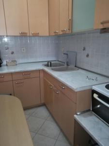 una pequeña cocina con fregadero y fregadero en Διαμέρισμα σε πολυκατοικία, en Néa Khilí
