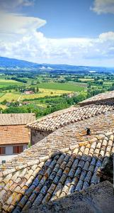 una vista de un grupo de tejados en un edificio en Domus Claudia, en Castiglione in Teverina