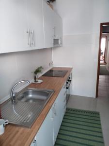 a kitchen with a sink and a counter top at Casa da laranjeira in Montargil