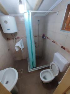 a bathroom with a shower and a toilet and a sink at Vikendica Ribnik 