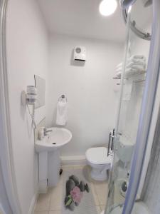 La salle de bains est pourvue d'une douche, d'un lavabo et de toilettes. dans l'établissement Cozy Room,Private Bathroom,Private Kitchynete, à Dublin