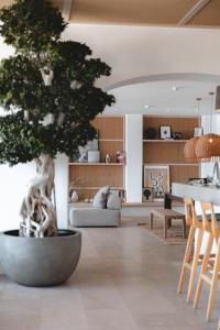 Canaves Epitome - Small Luxury Hotels of the World的厨房或小厨房