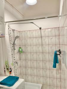 a bathroom with a shower with a blue towel at Blue Dollar Apartament in Przemyśl
