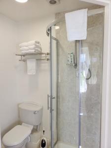 uma casa de banho com chuveiro, WC e toalhas em Cozy Room,Private Bathroom,Private Kitchynete em Dublin