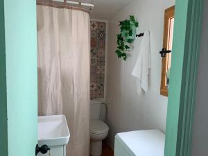 een badkamer met een toilet en een wit douchegordijn bij Casa Ana in Vejer de la Frontera