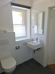 a white bathroom with a toilet and a sink at Ferienhaus Altes Backhaus in Roetgen