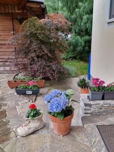 Ogród w obiekcie Haus Flora - Ferienwohnung Bodensdorf