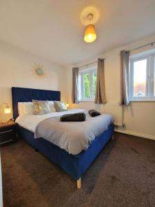 ein blaues Bett in einem Schlafzimmer mit zwei Fenstern in der Unterkunft Kensington House- The Perfect home for contractor stays in Colchester