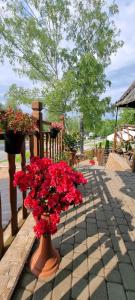 wazon wypełniony czerwonymi kwiatami na ganku w obiekcie Leśne Klimaty w Polańczyku
