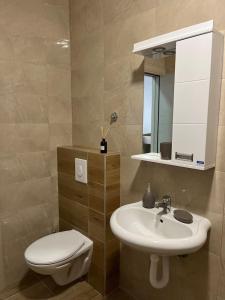 Koupelna v ubytování Tik-tak apartment + 15 fotografií
