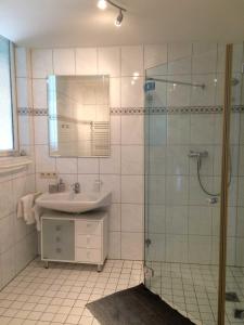 テクレンブルクにあるDRIEHOF - LandGut & Residenz Hofapartment - Apt 10のバスルーム(シンク、鏡付きシャワー付)