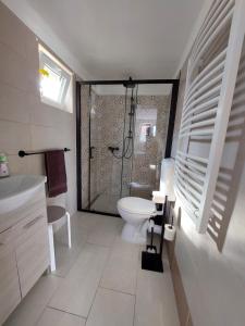 a bathroom with a toilet and a glass shower at Laurus Vendéghàz in Lovas