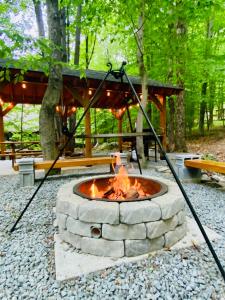 a fire pit in the middle of a park at Lakeview Cabin in The Hideout in Lake Ariel
