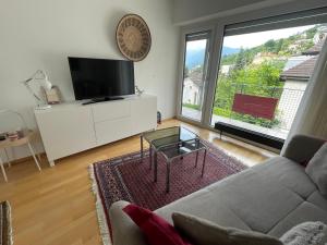 a living room with a couch and a large window at Muralto-Locarno: Collina Apt. 32 in Muralto