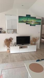 TV a/nebo společenská místnost v ubytování Lejla apartmani - Jablaničko jezero