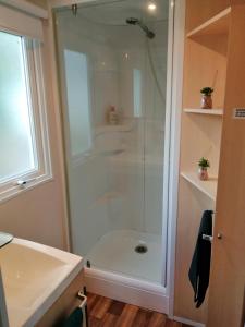 a bathroom with a shower with a glass door at Mobil home 5 pers proche d'Europa Park E020 in Boofzheim