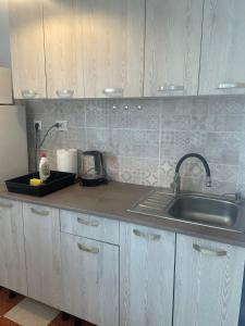- une cuisine avec un évier et un comptoir dans l'établissement Bega Cirumvalatiunii One Room Apartment- 4, à Timişoara
