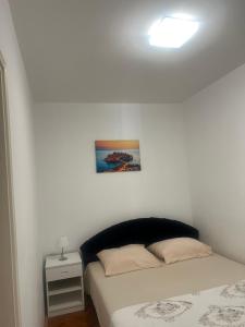 een slaapkamer met een bed en een foto aan de muur bij Apartman Na pjenu od mora Becici in Budva