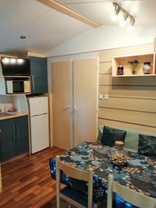 a kitchen and a table in a small room at Mobil home 5 pers proche d'Europa Park E020 in Boofzheim