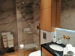 La salle de bains est pourvue d'un lavabo et d'une douche. dans l'établissement Business Apartment Płock, à Płock