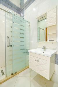 La salle de bains est pourvue d'un lavabo et d'une douche en verre. dans l'établissement City centre apartment, à Baku