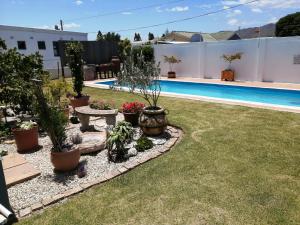 un patio trasero con macetas y una piscina en Omega Suite, en Gansbaai