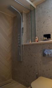 a shower in a bathroom with a toilet at Beach House Lefkes A in Planos +14 photos