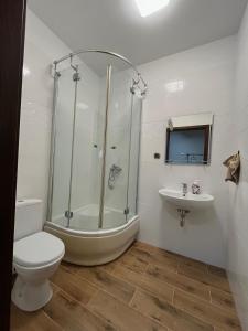 La salle de bains est pourvue d'une douche, de toilettes et d'un lavabo. dans l'établissement DOM POD WIŚNIĄ, à Giżycko
