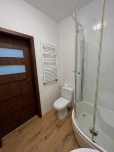 La salle de bains est pourvue de toilettes et d'une douche en verre. dans l'établissement DOM POD WIŚNIĄ, à Giżycko