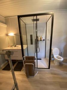 een badkamer met een douche, een toilet en een wastafel bij Hôtel restaurant l'escale chez mimi in Bioule