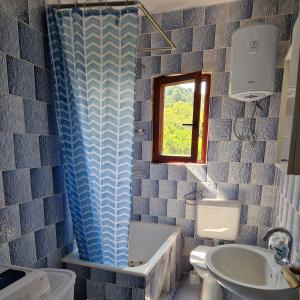 a bathroom with a tub and a toilet and a sink at Apartment Opaćac Veli Iž in Veli Iž